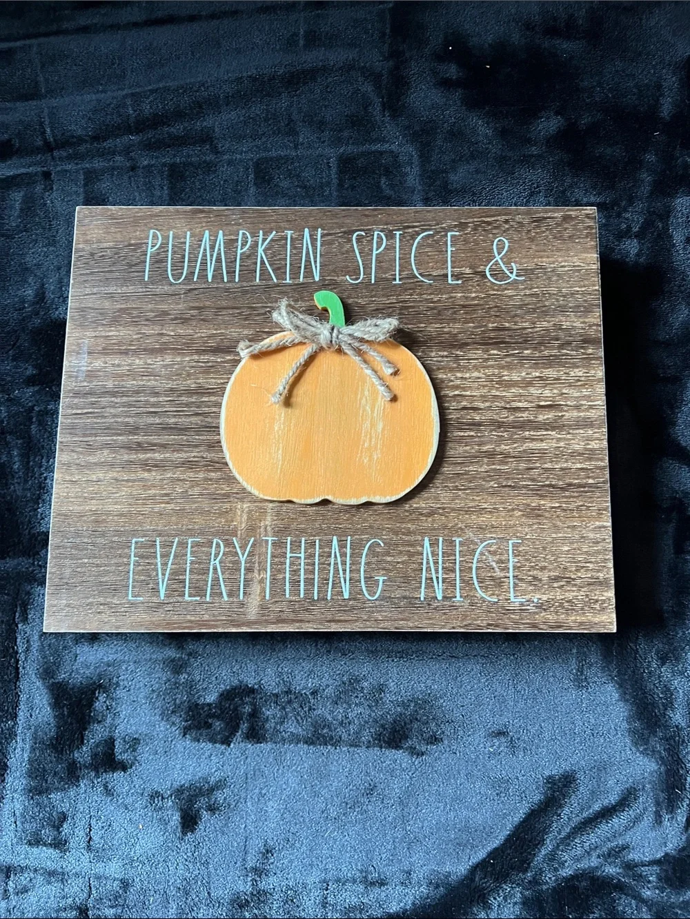 Rae Dunn Pumpkin Spice & Everything Nice Orange Pumpkin Wall Sign